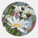 Search for spring scene stickers Flowers