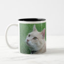 Search for romeo mugs Cat