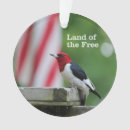 Search for woodpecker ornaments Birding