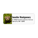 Search for ferret return address labels Funny