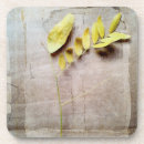 Search for herb coasters Botanical
