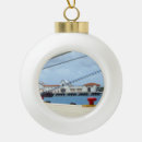 Search for cozumel ornaments Tropical