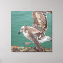 Recherche de voler impressions sur toile Sauvage