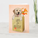 Recherche de golden retriever Récupérateur doré