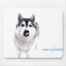 Search for siberian mousepads Husky