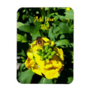 Search for bee stuff magnets Honeybee