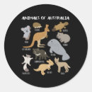 Search for australian animal stickers Koalas