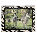 Search for zebra calendars Nature
