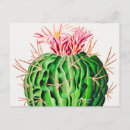 Recherche de botanique antique cartes postales Dessin