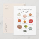 Search for vintage halloween illustration postcards Pumpkins