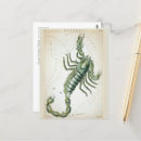 Search for scorpio horoscope postcards Constellation