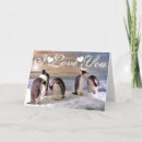 Search for penguin love cards I love you