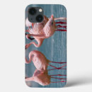 Search for bird pictures cases Beak