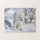 Search for danita delimont puzzles Carnivore