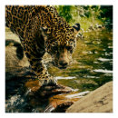 Recherche de de animal de léopard posters Faune
