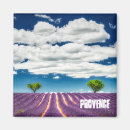 Search for valensole France