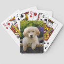 Search for furry playing cards Cute