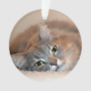 Search for long haired cat ornaments Persian