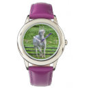 Recherche de cheval équin montres Palomino