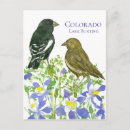Recherche de wild cartes postales Oiseau