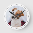 Search for pet photo clocks Cat