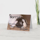 Recherche de salutation de lapin Drôle