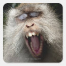 Search for yawning stickers Outdoors