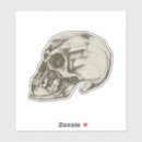 Search for skull illustration stickers Creepy