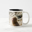 Recherche de préfecture tasses Intégral