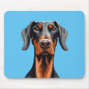 Search for dobermans electronics Pets