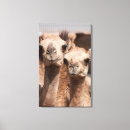 Search for dubai canvas prints Desert