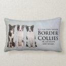 Search for border collie pillows Pet