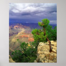 Search for arizona posters Outdoors
