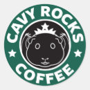 Search for cavies stickers Guinea pig