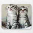Search for bedrooms electronics Cat