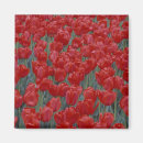 Search for bedding magnets Garden