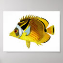 Search for cottage life posters Ocean