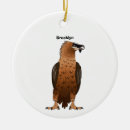Search for vulture ornaments Bird