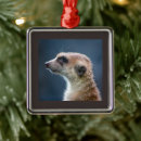 Search for meerkat ornaments Animal