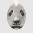 Search for kawaii ornaments Bear