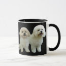 Search for bichon mugs Frise