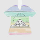 Search for basset hound ornaments Animal