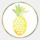 Search for watercolor pineapple stickers Modern