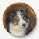 Search for border collie plates Cute