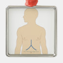 Search for transplant ornaments Small business