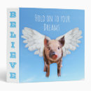 Search for piglets binders Farm animals