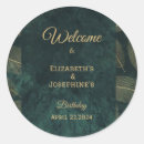 Search for twin birthday party stickers Double celebration