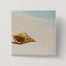 Search for shell square buttons Ocean