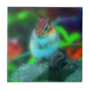 Search for fantasy animals photography Nature