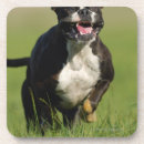 Recherche de raison dessous de verres Humour